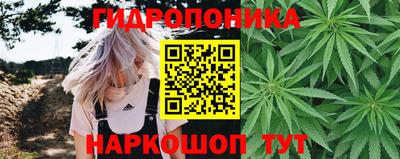прущие крисы Гусь-Хрустальный